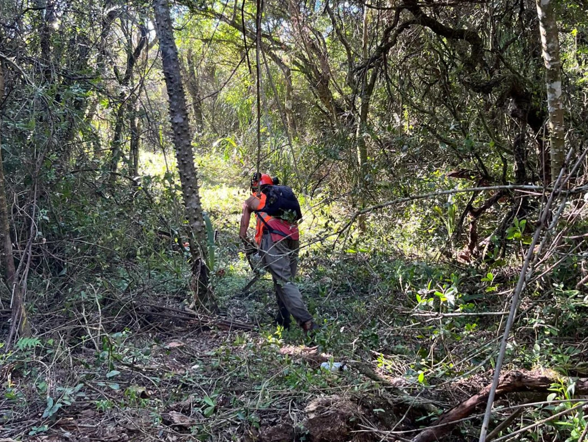 apertura de senderos y caminos