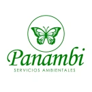 Panambi 